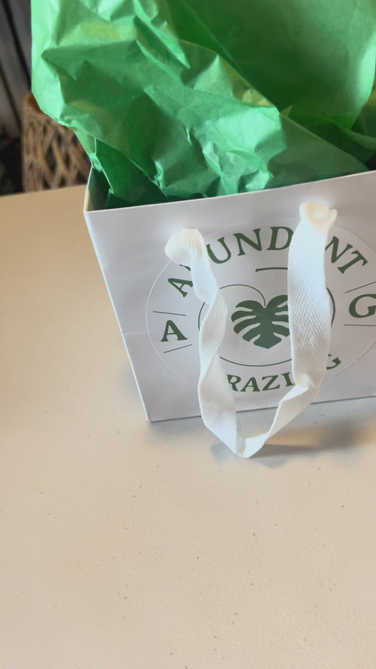 Mini Grazing Boxes( set of 12)